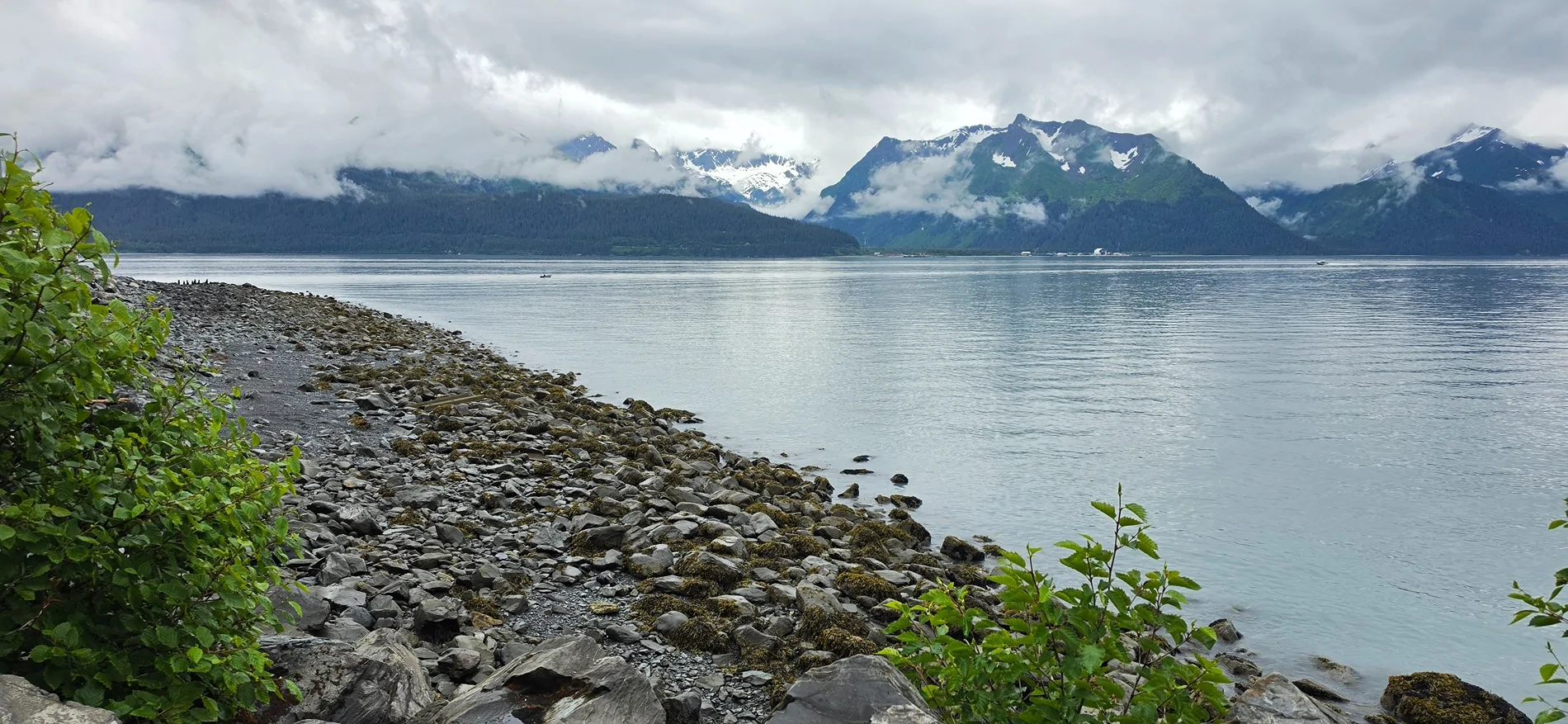 Jeep Gladiator Short Trip - Anchorage, AK to Seward, AK (With Kenai Fjords National Park) 20260708_130018[1]
