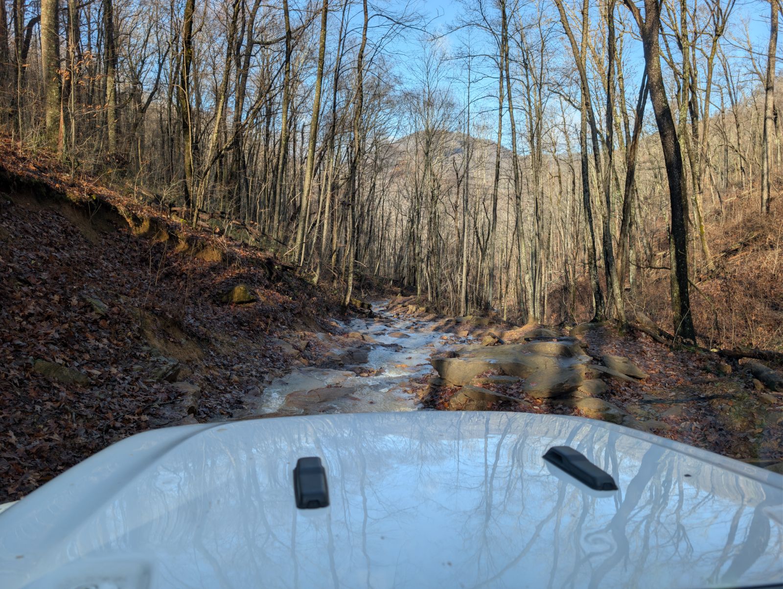 Jeep Gladiator Very dumb question: What are those little black things on the Sport hood called? 1000015787