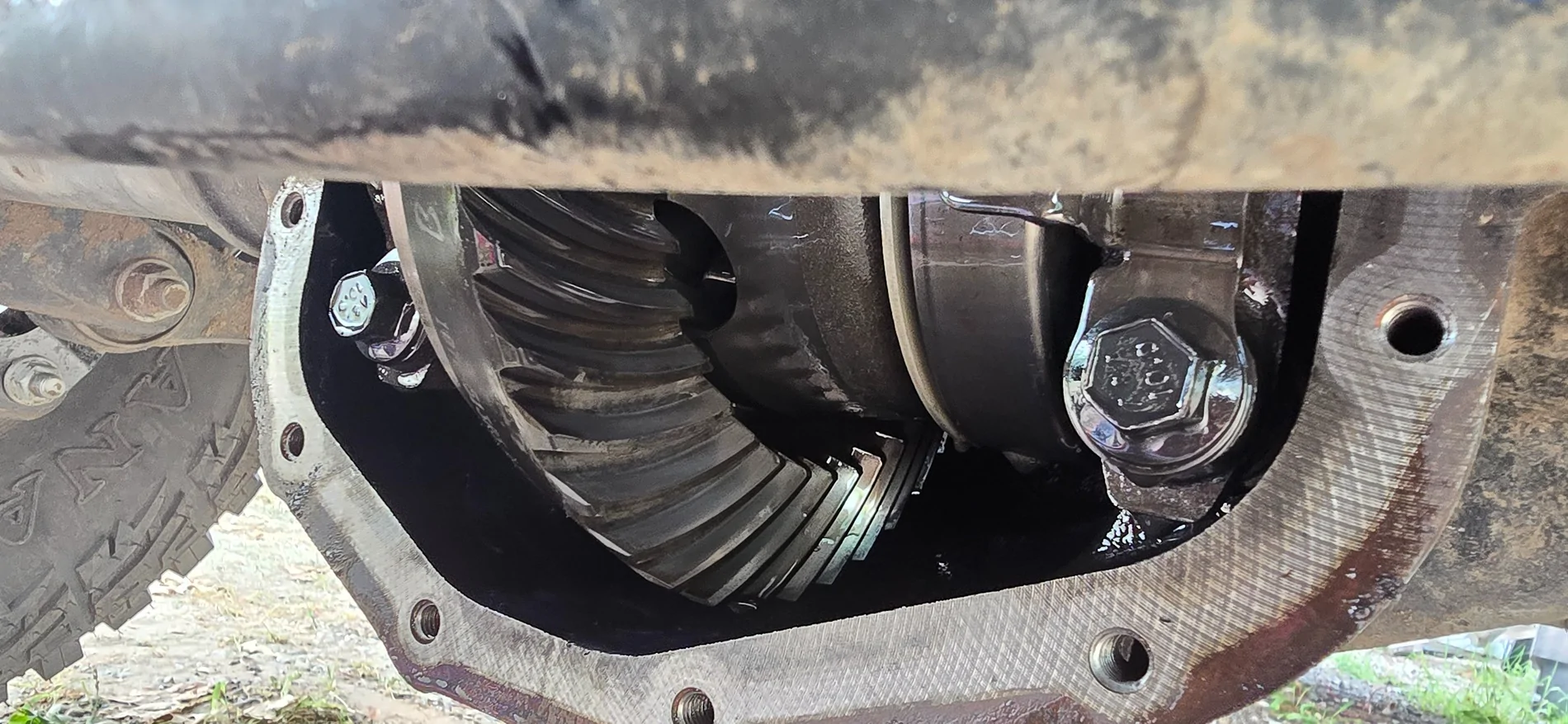 Jeep Gladiator Don't call it a build - 23 Mojave 20260717_151851