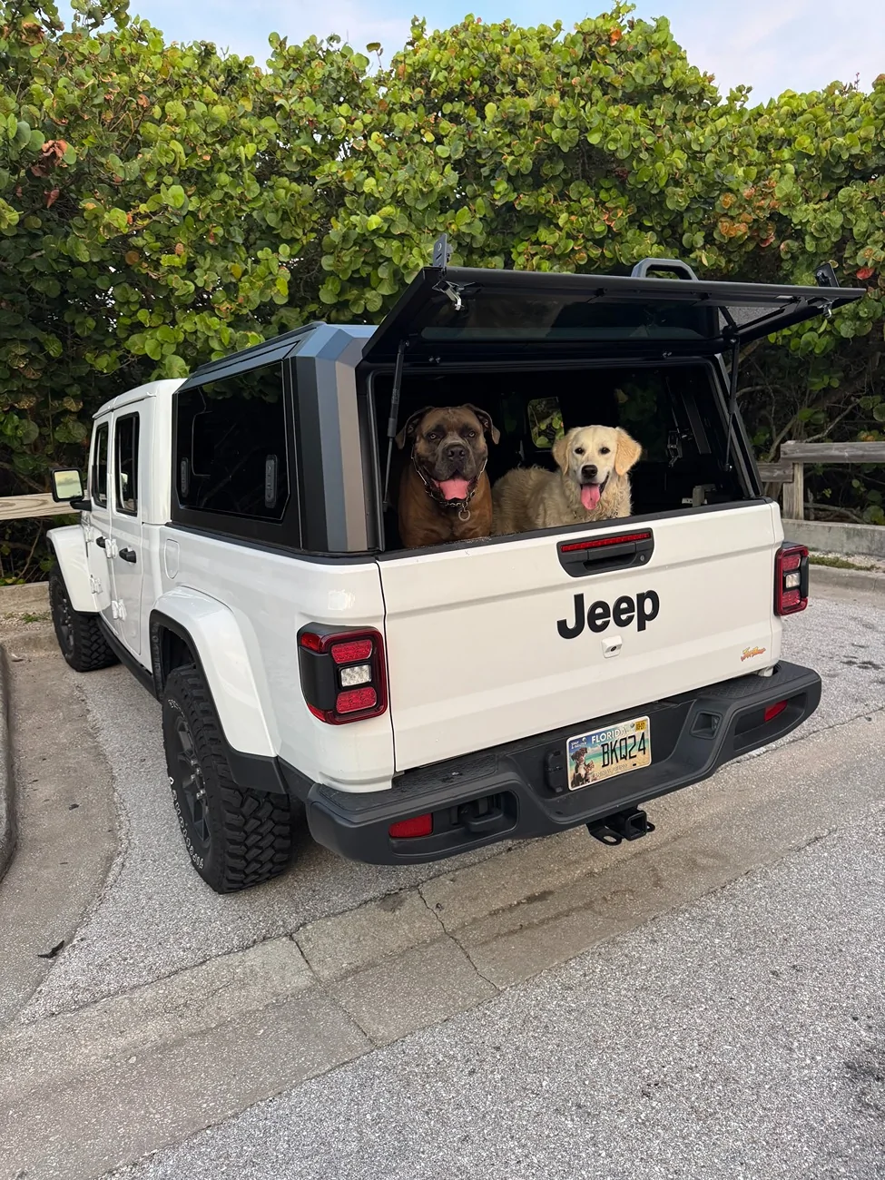 Jeep Gladiator What's the most "worth it" upgrade you've made to your Gladiator? IMG_6859