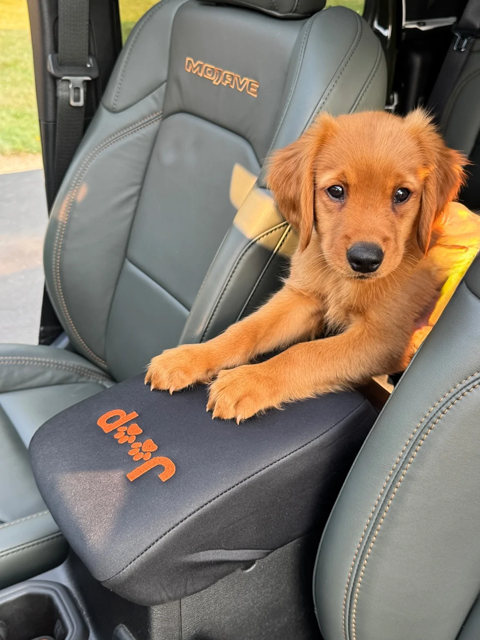 Jeep Gladiator Let’s see your pets cause they are the best companion you can have!!!!! IMG_0143