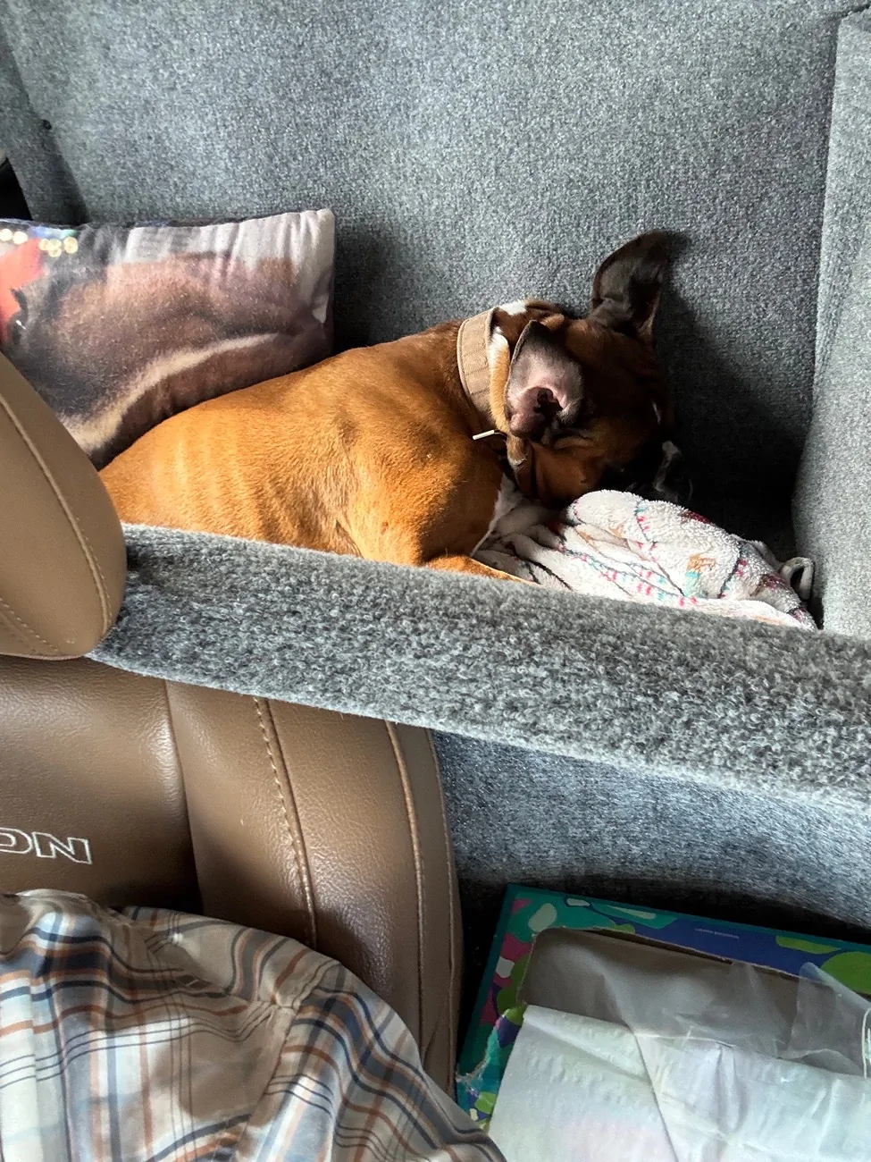 Jeep Gladiator Dog Mess Containment System (Home Made... mostly) IMG_6696