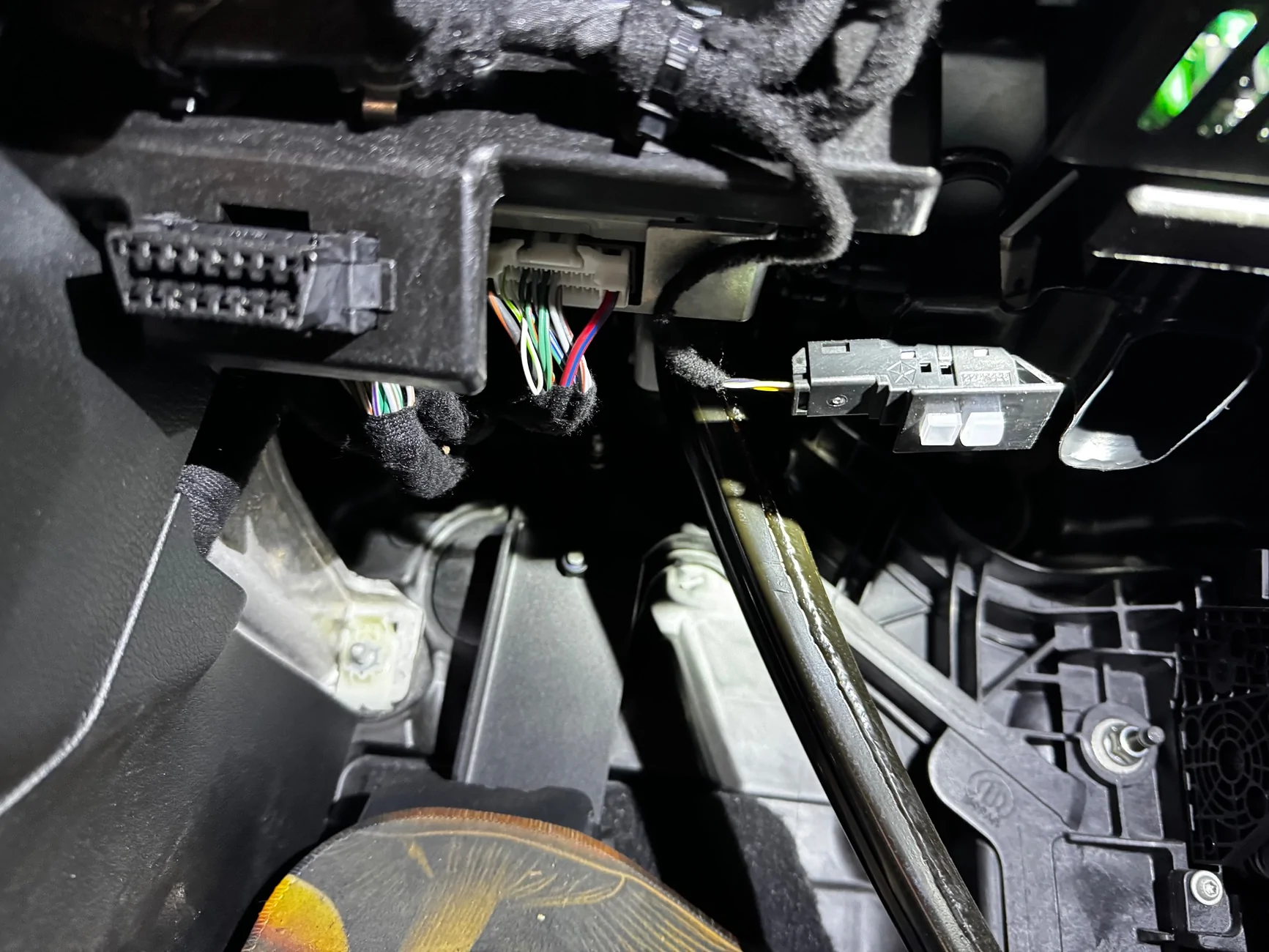 IMG_1730.webp