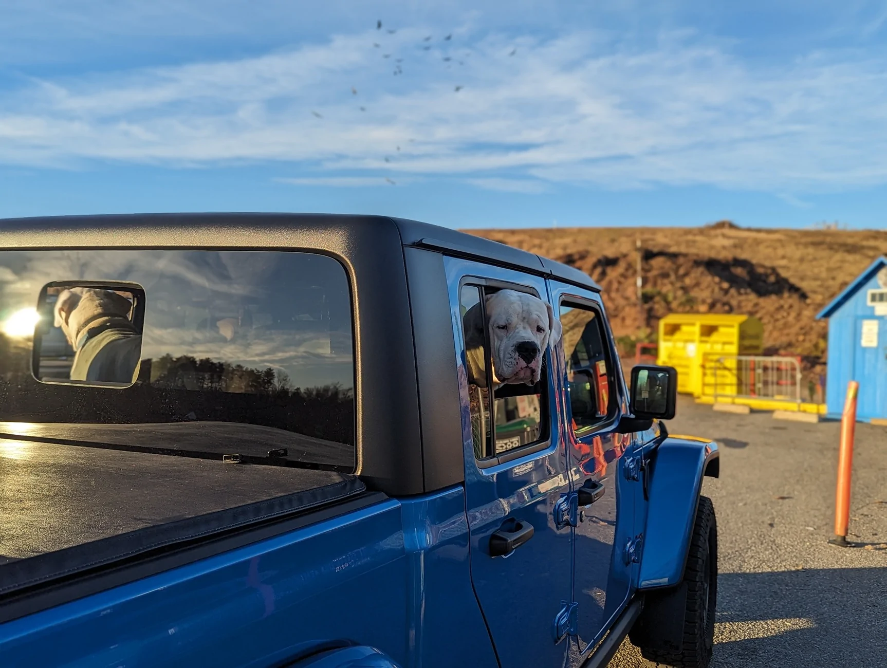 Jeep Gladiator Dog Mess Containment System (Home Made... mostly) 1000006329
