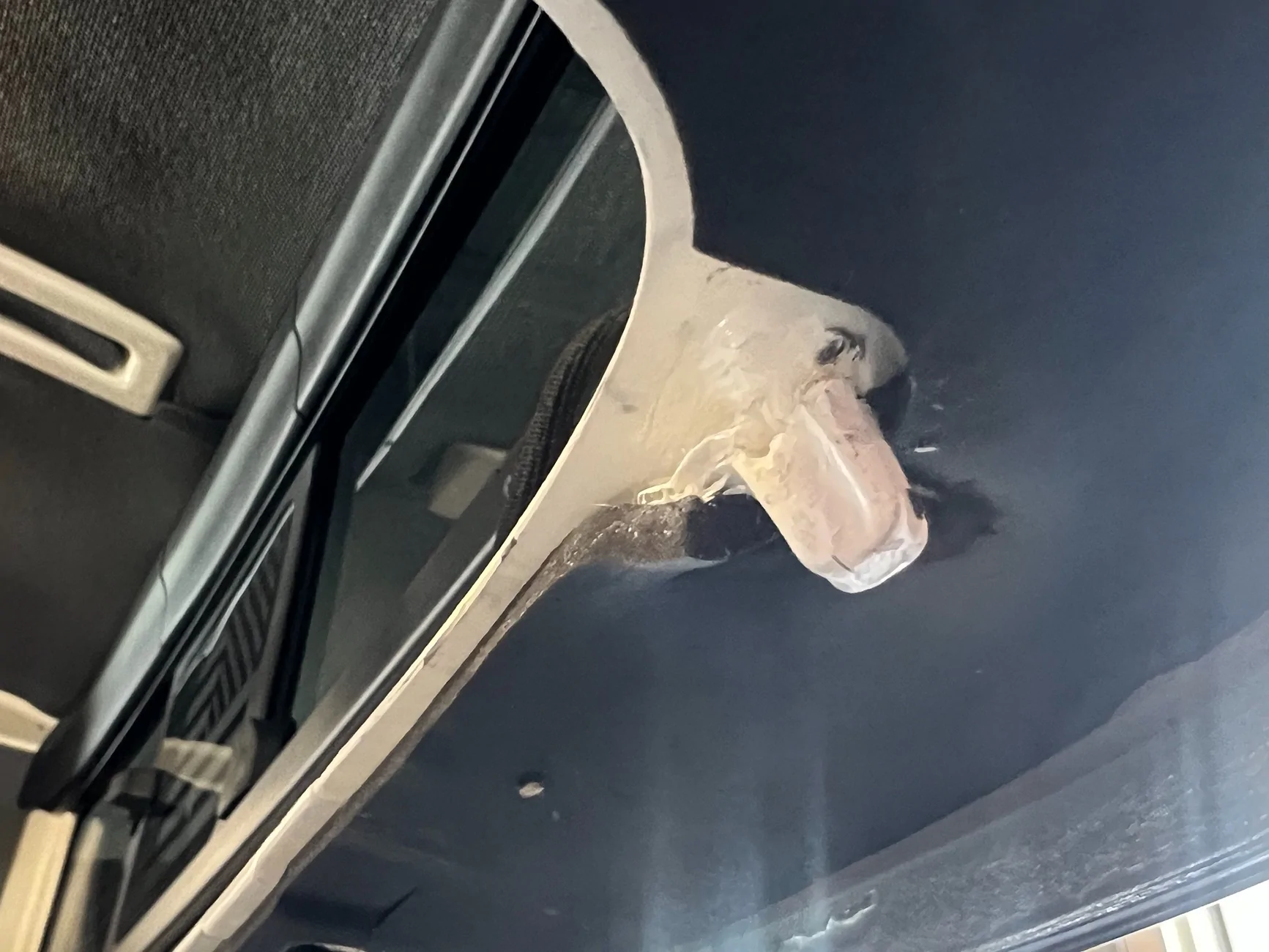 Jeep Gladiator Warranty issue IMG_1592