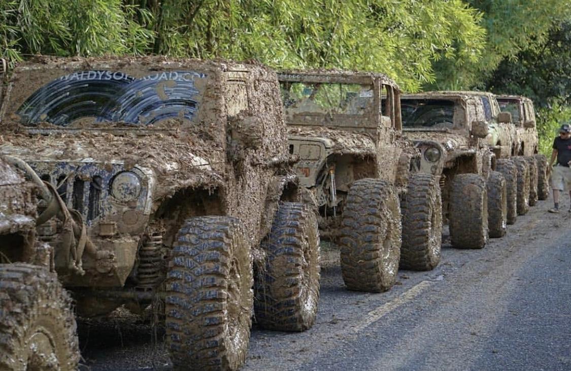 Jeep Gladiator Jeeps Parking Next To Jeeps CDF0A27A-B134-4496-98D5-6550297A2F25