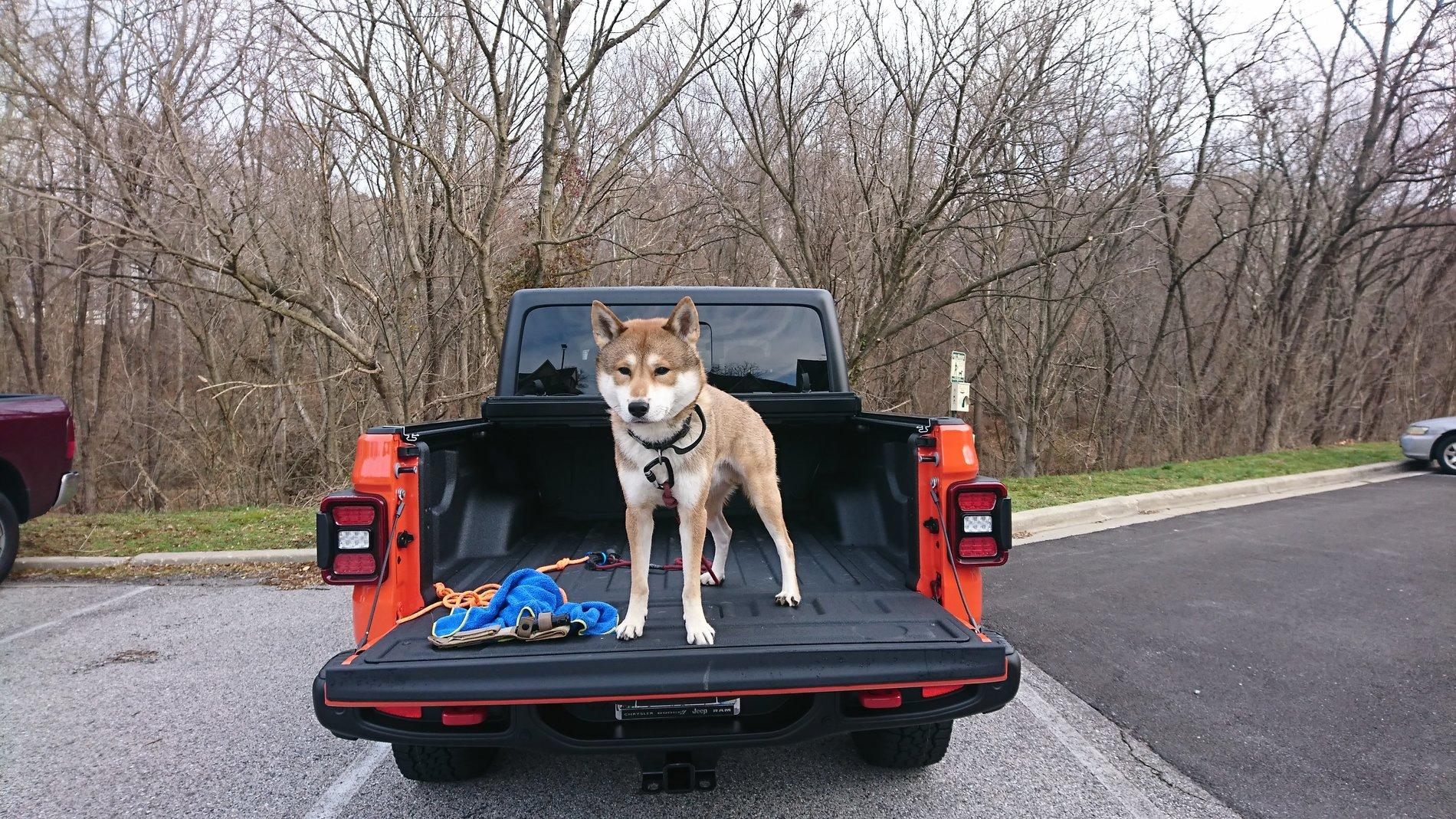 Jeep Gladiator Punk'n owner's unite! DSC_8193
