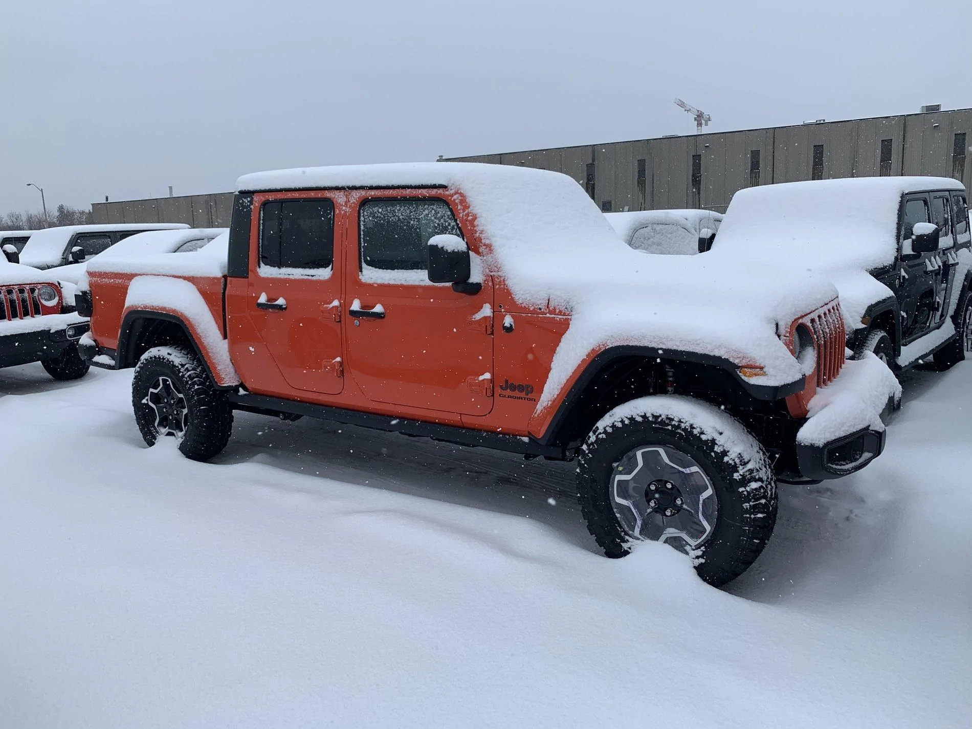 Jeep Gladiator Punk'n owner's unite! 192B12E3-CA26-4598-B039-83412D2B0D32