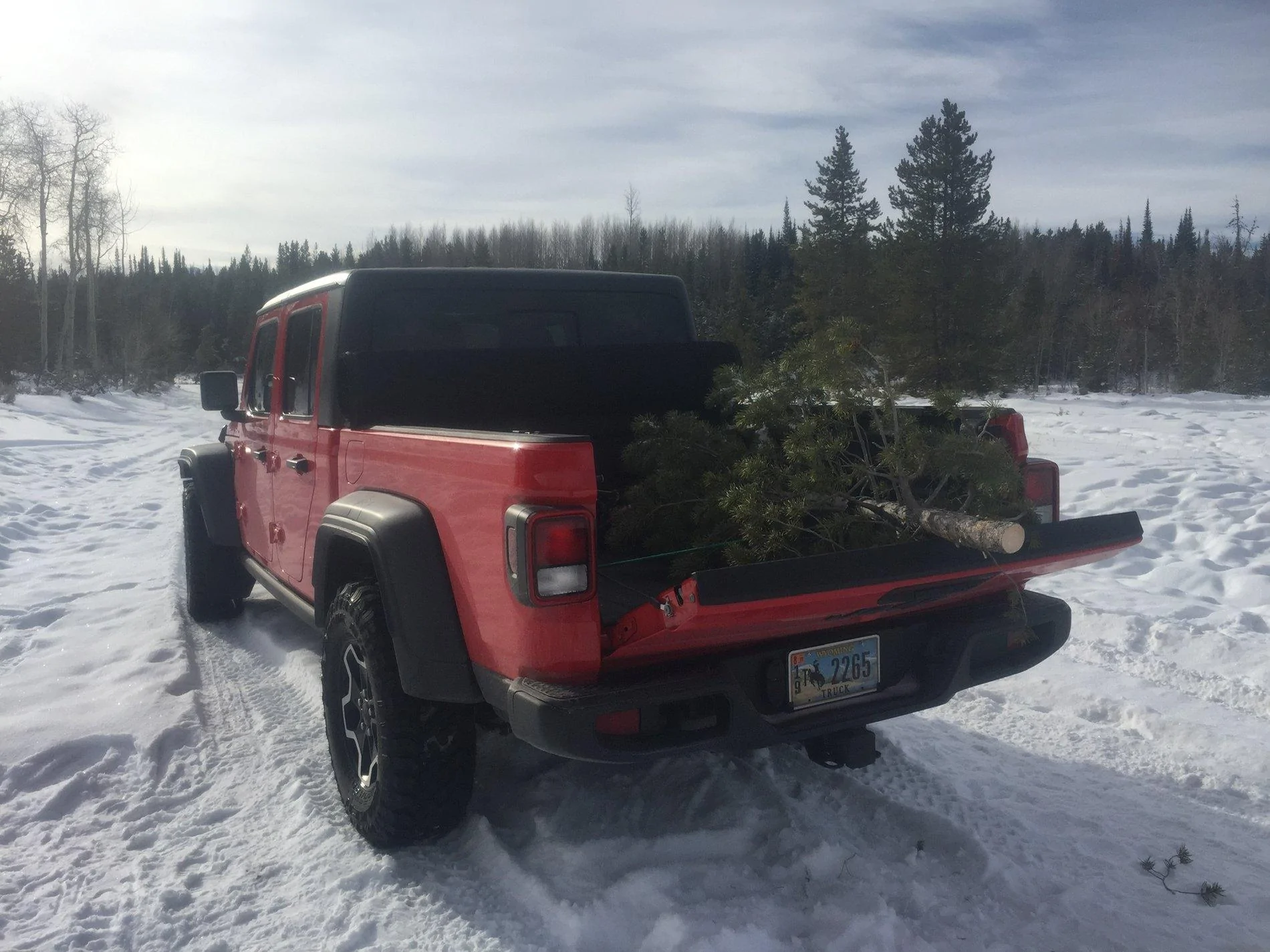 Jeep Gladiator What did you do WITH your Gladiator today? 111E0914-103B-4376-8473-A6A1E2846C79