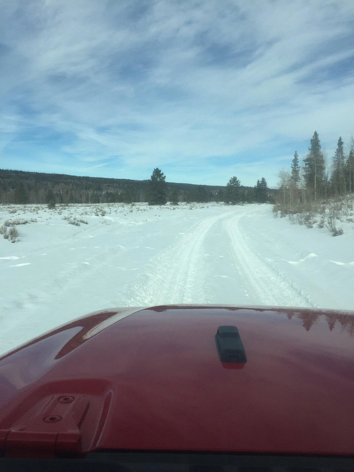 Jeep Gladiator What did you do WITH your Gladiator today? 1A811F26-81D8-4896-A311-FF1FF9C15883