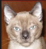 creepy.webp
