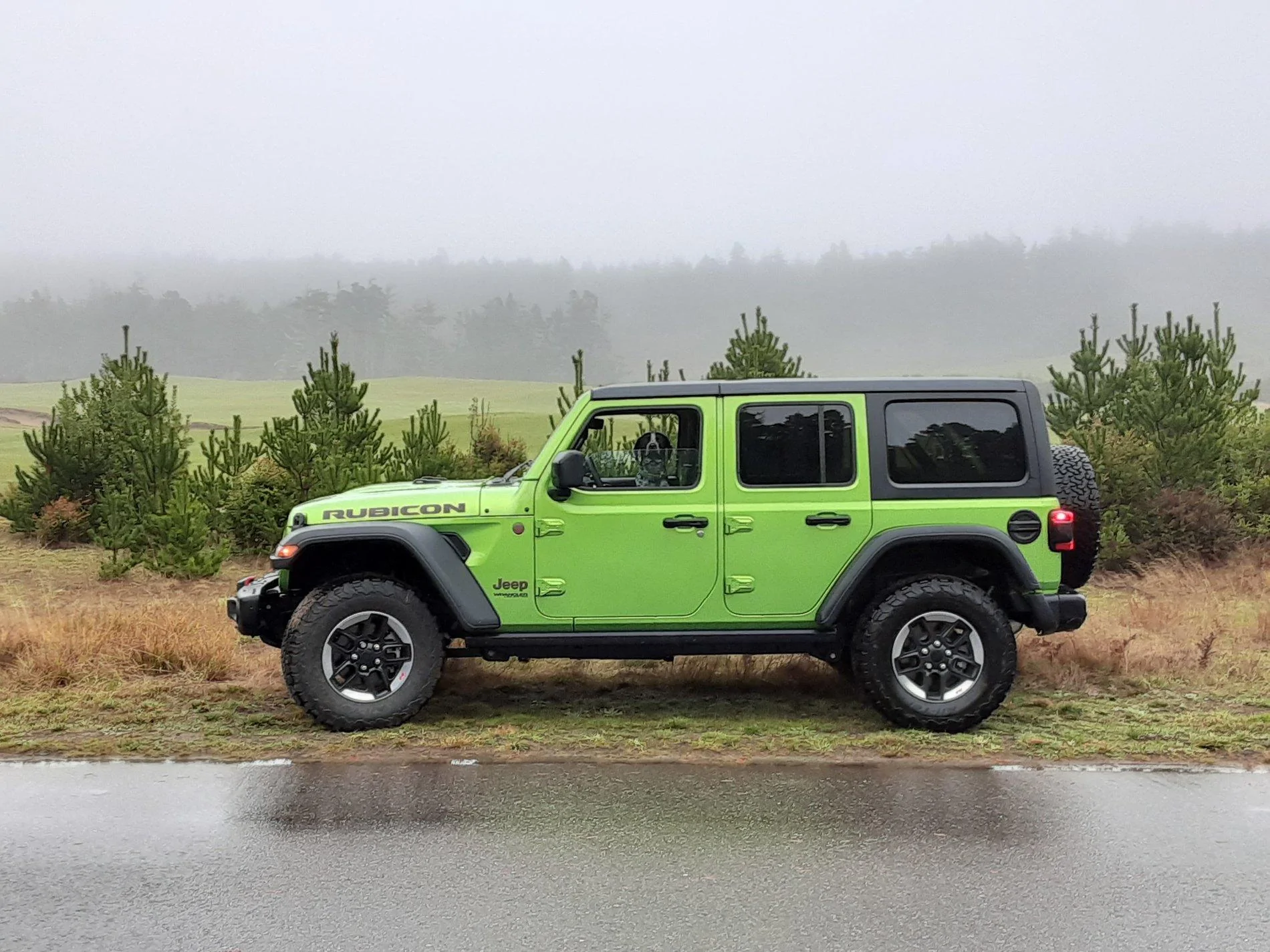 Jeep Gladiator JT  “Green with envy pearl coat” new color ? goofy driving kermit
