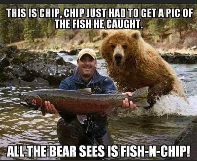 Jeep Gladiator Humor 05F57F42-FABB-4667-B75E-C71C6F53A964