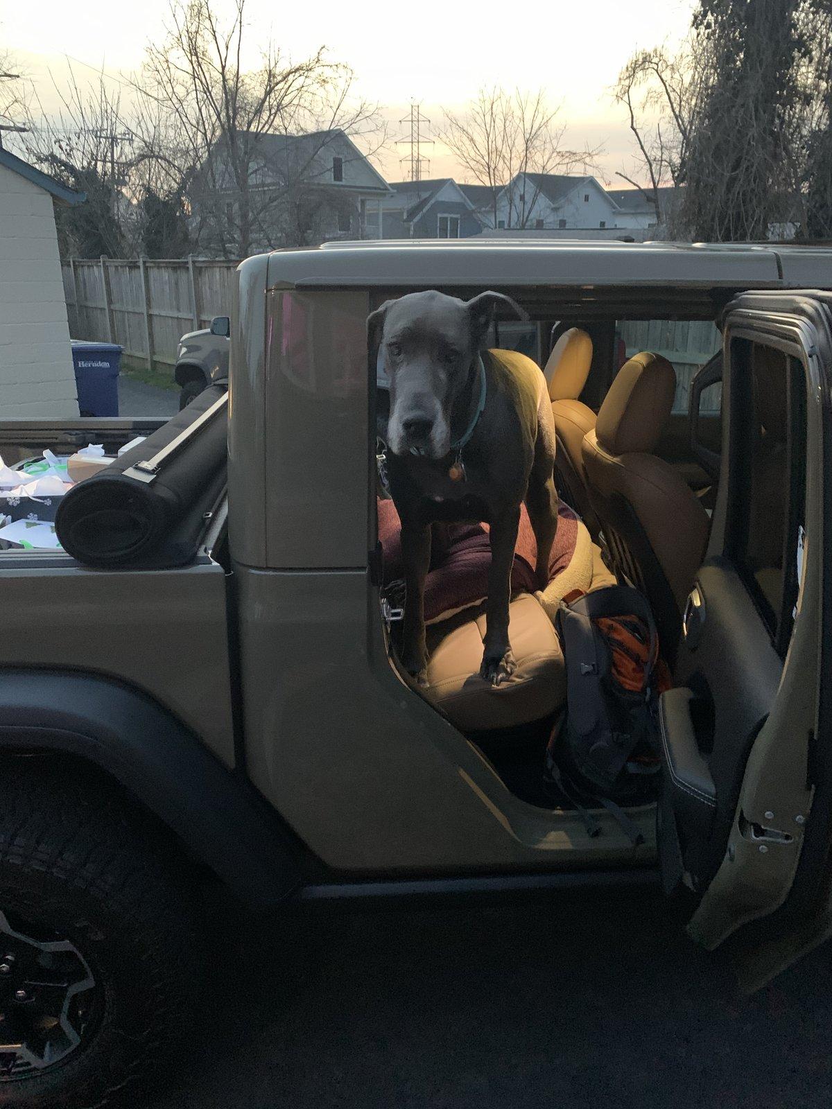 Jeep Gladiator Any difficulty getting dogs in back seat? 960B20FE-ACED-41EB-ADEE-F1557FE166AB