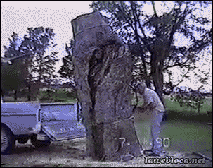 giphy.gif?cid=790b761106250e67496b5192e0f3ca9f00ddd86b9d63bf2d&rid=giphy.gif