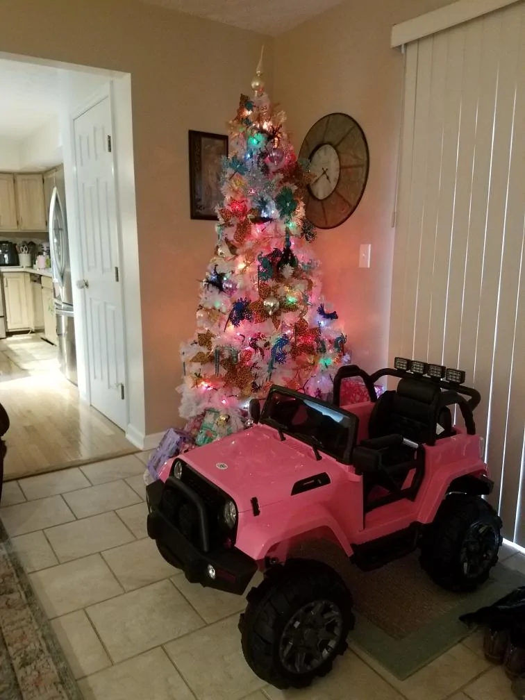 Jeep Gladiator Whatcha get for Christmas FEiqqNEE-3028628578