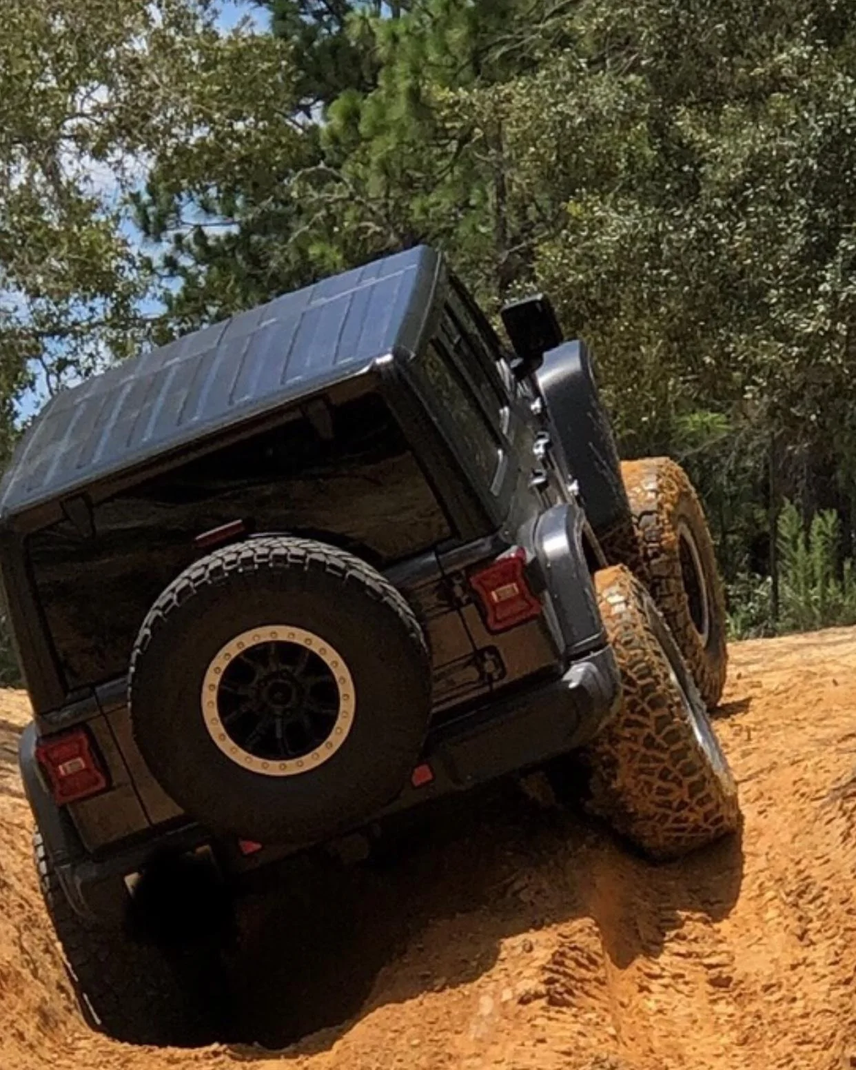Jeep Gladiator Florida Roll Call! 98842576-517D-406F-9D94-11A3B9EE5D4E