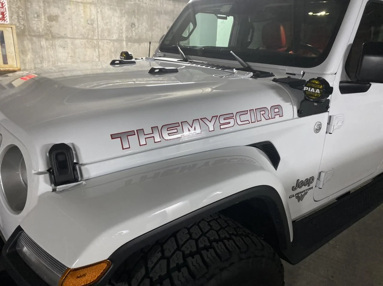 Jeep Gladiator What did you do TO your Gladiator today? [ADMIN WARNING: NO POLITICS, NO GUN TALK] C6EF0185-3E91-47EE-A9B6-A9099E941368