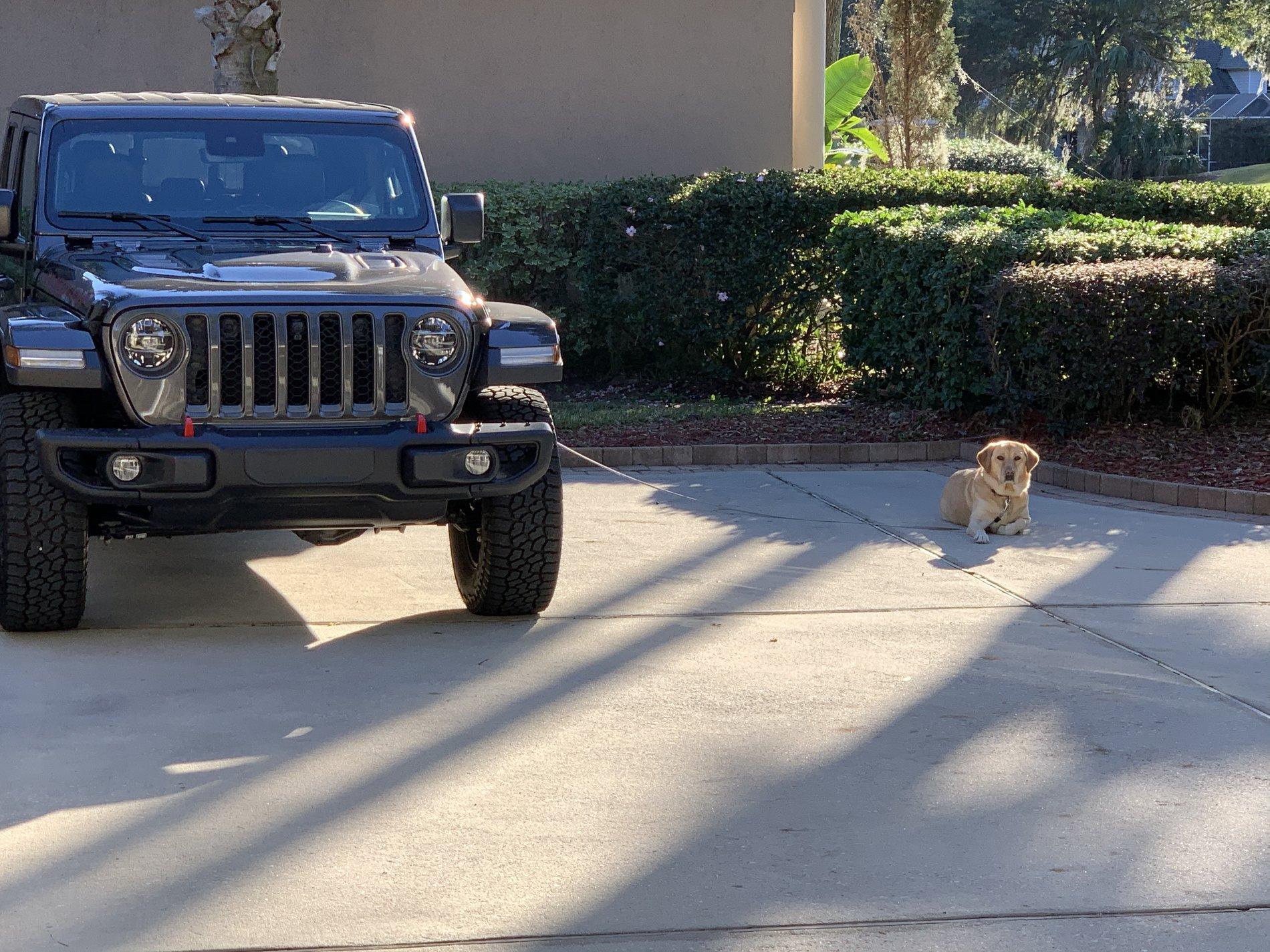 Jeep Gladiator What did you do WITH your Gladiator today? A6E740FA-DADE-4BDA-96AE-39691763C529