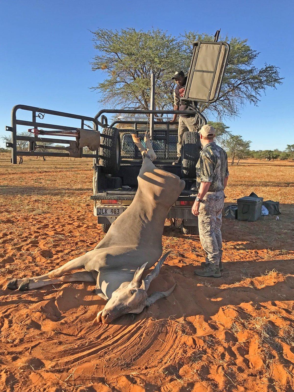 Jeep Gladiator Is Lift and Larger Tires Necessary for Overlanding LandCruiser Eland II Resize