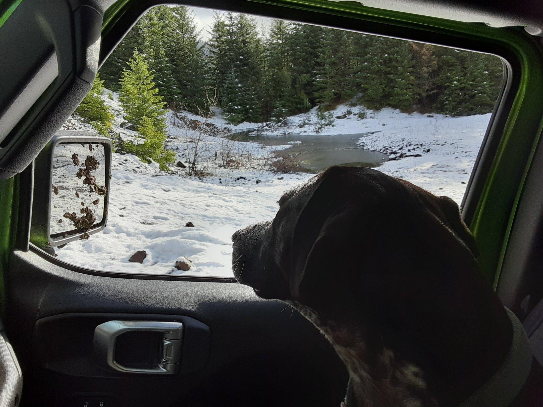 Jeep Gladiator Gladiator Forum: Tipping Point? mud on the mirror frown