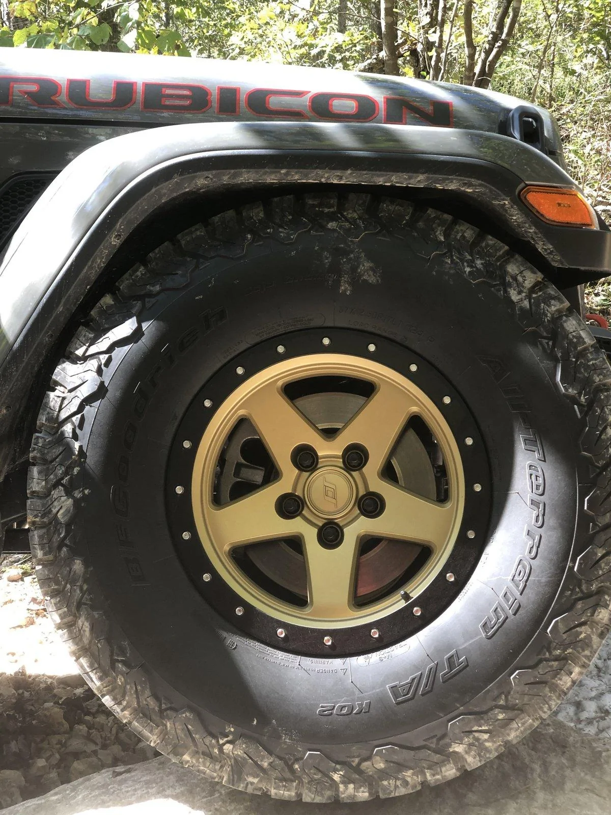Jeep Gladiator Project “Fools Gold” 510B3642-1F66-4365-B6E2-55D09CF9D88E
