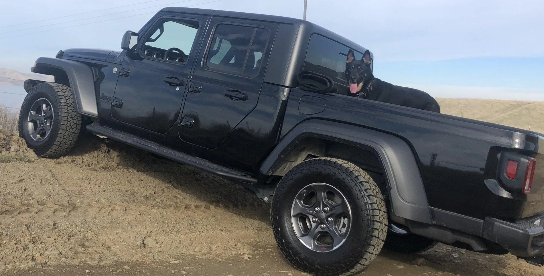 Jeep Gladiator Glad(iator) Dogs! Let's see 'em! 9DDB1AF9-4019-4B67-9219-631C4A412312