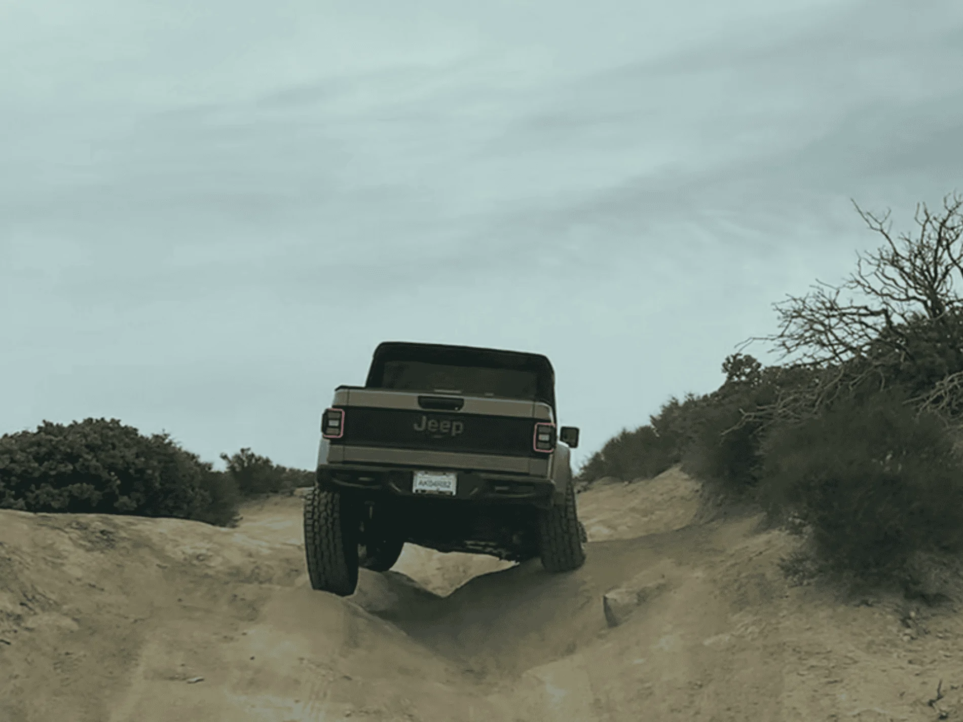 Jeep Gladiator What did you do WITH your Gladiator today? FC00299F-C7F4-44F9-A7D8-1E5F82FE5ABC