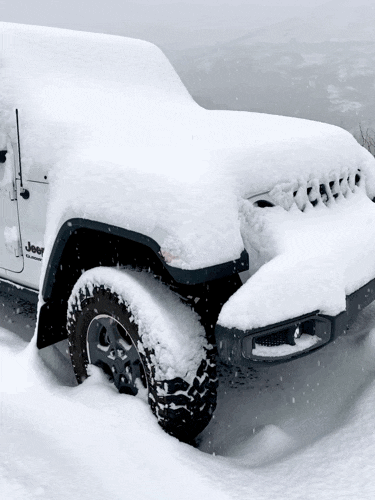 Jeep Gladiator What did you do TO your Gladiator today? [ADMIN WARNING: NO POLITICS, NO GUN TALK] IMG_0866_Lively