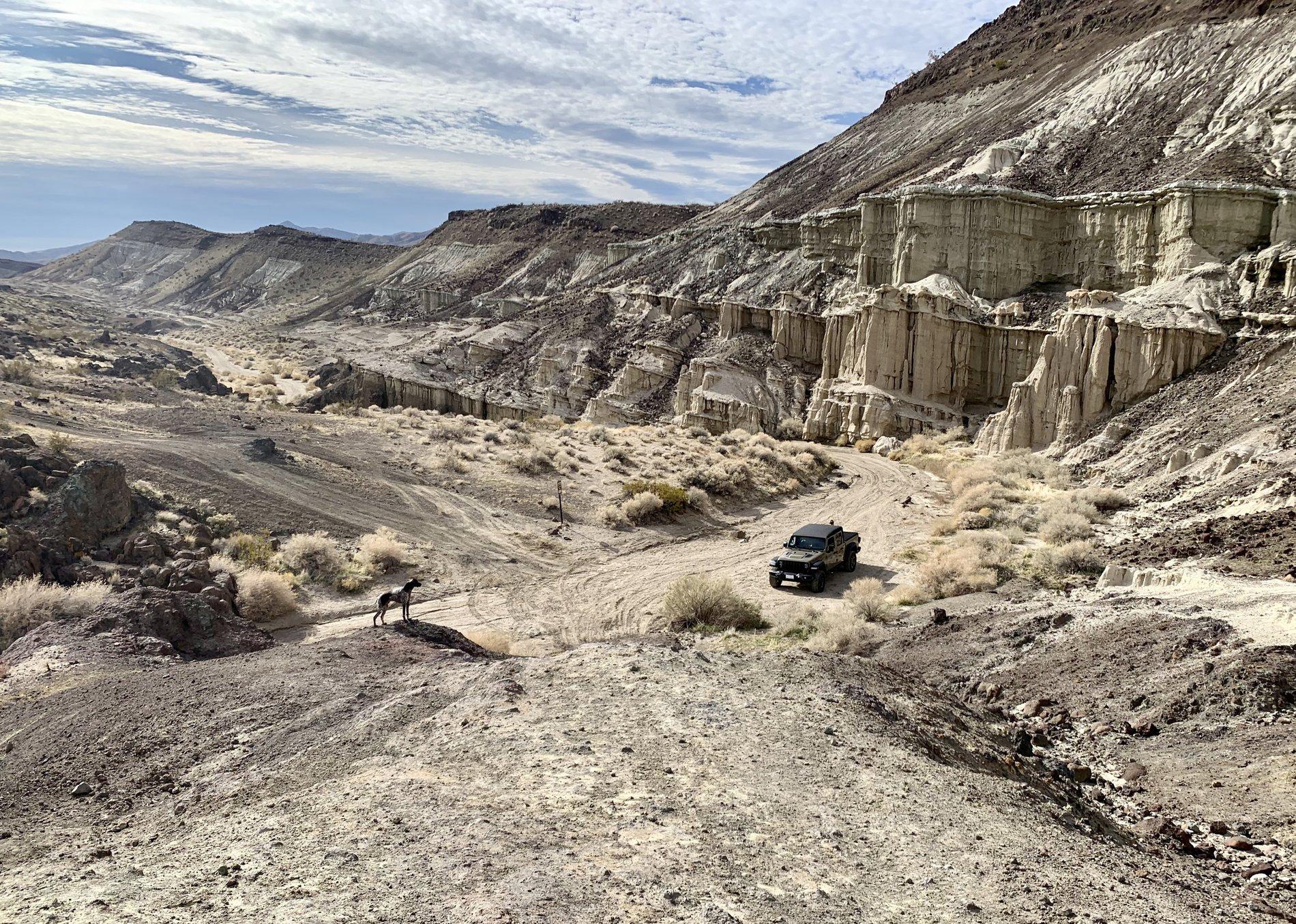 Jeep Gladiator Photograph of the Month Contest - November 2019 IMG_8915
