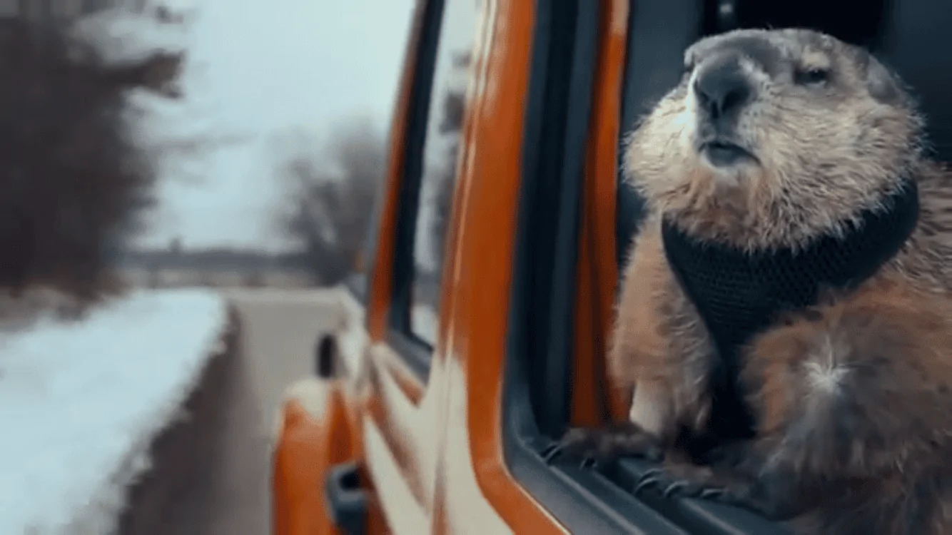 Jeep Gladiator Jeep "Groundhog Day" Superbowl Commercial! [Updated With Extended Directors Cut] 84FC39F5-75D8-40AF-A025-C1F3BDEACA48