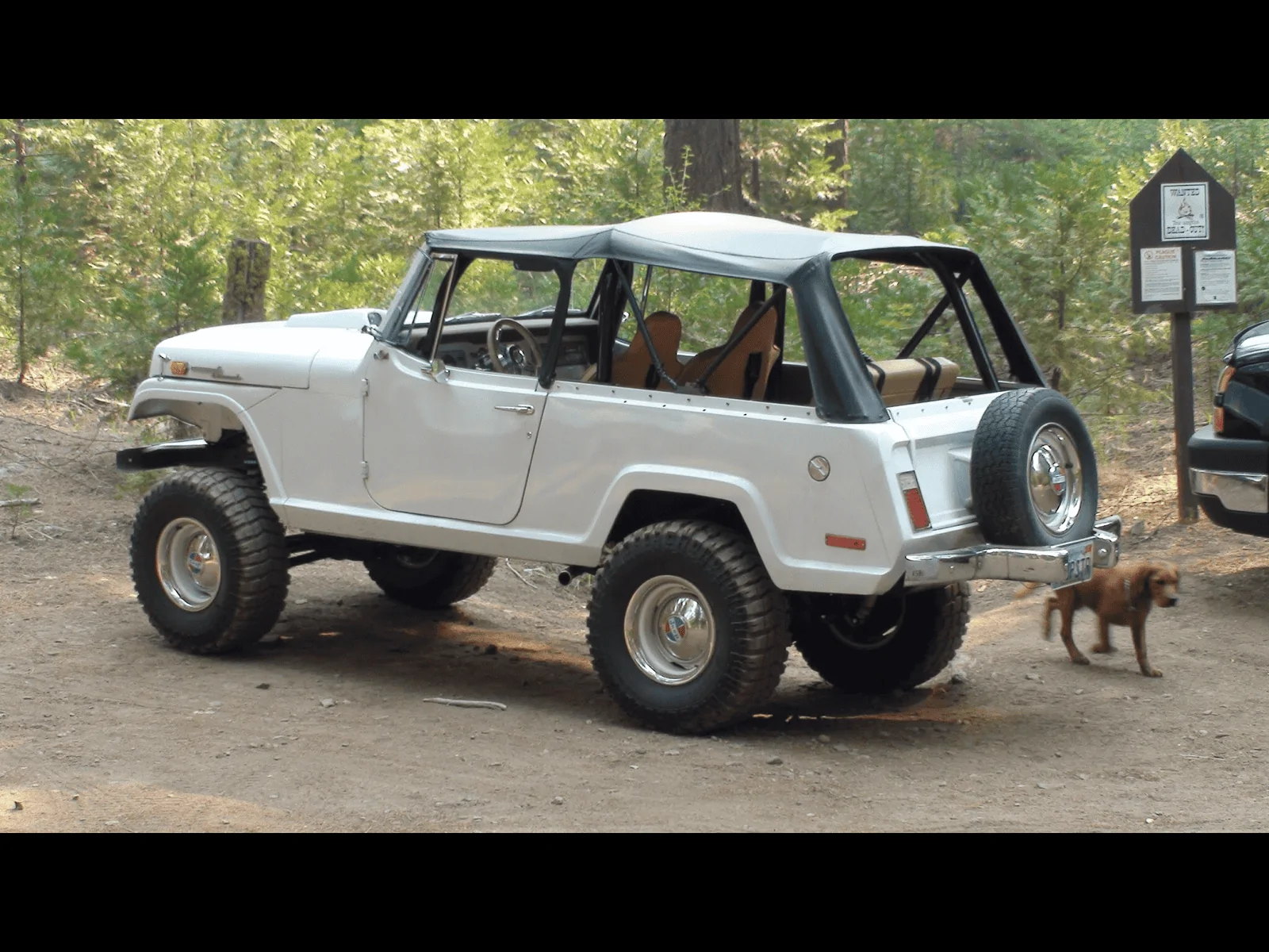 Jeep Gladiator Mojito color like my dad 50 years ago 7FB60061-137F-4DB7-9E58-617F5164535E
