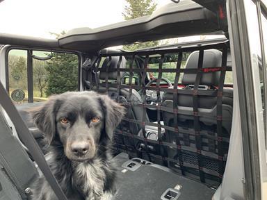 Jeep Gladiator Rear Seat Dog bed? upload_2020-2-12_8-56-15