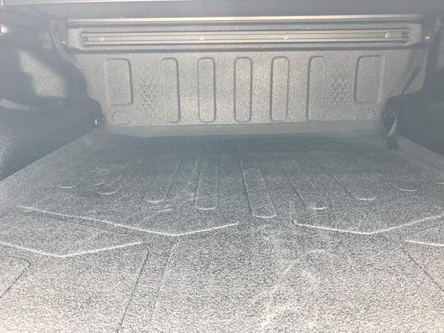 Jeep Gladiator Truck bed mat for Gladiator, rubber? IMG_3861