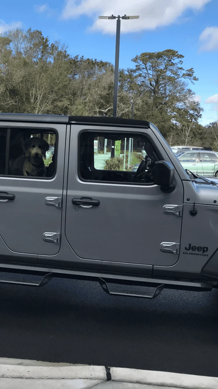 Jeep Gladiator Key Hole Protection on doors DAEF41AC-A62E-41E8-A5DB-88B61D8FCC6E