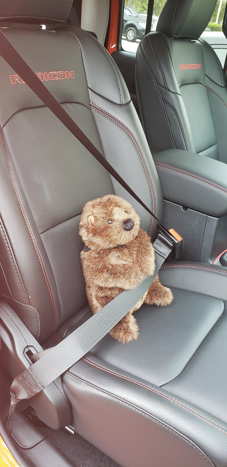 Jeep Gladiator Groundhogs in Gladiators 20200220_102716
