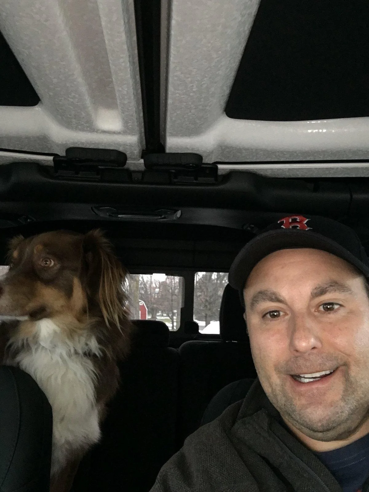 Jeep Gladiator Glad(iator) Dogs! Let's see 'em! 05B78FE3-63BA-4534-92D0-87B58AC88A79