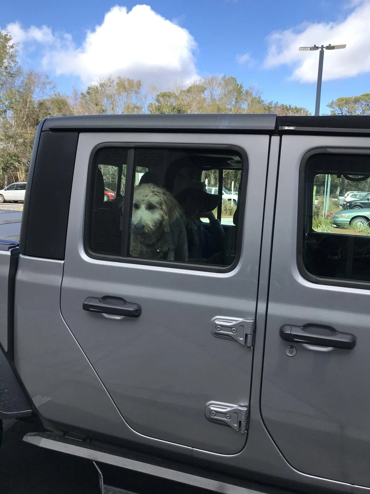 Jeep Gladiator Any difficulty getting dogs in back seat? 9B452CD0-D279-4933-A147-1143F80EF456