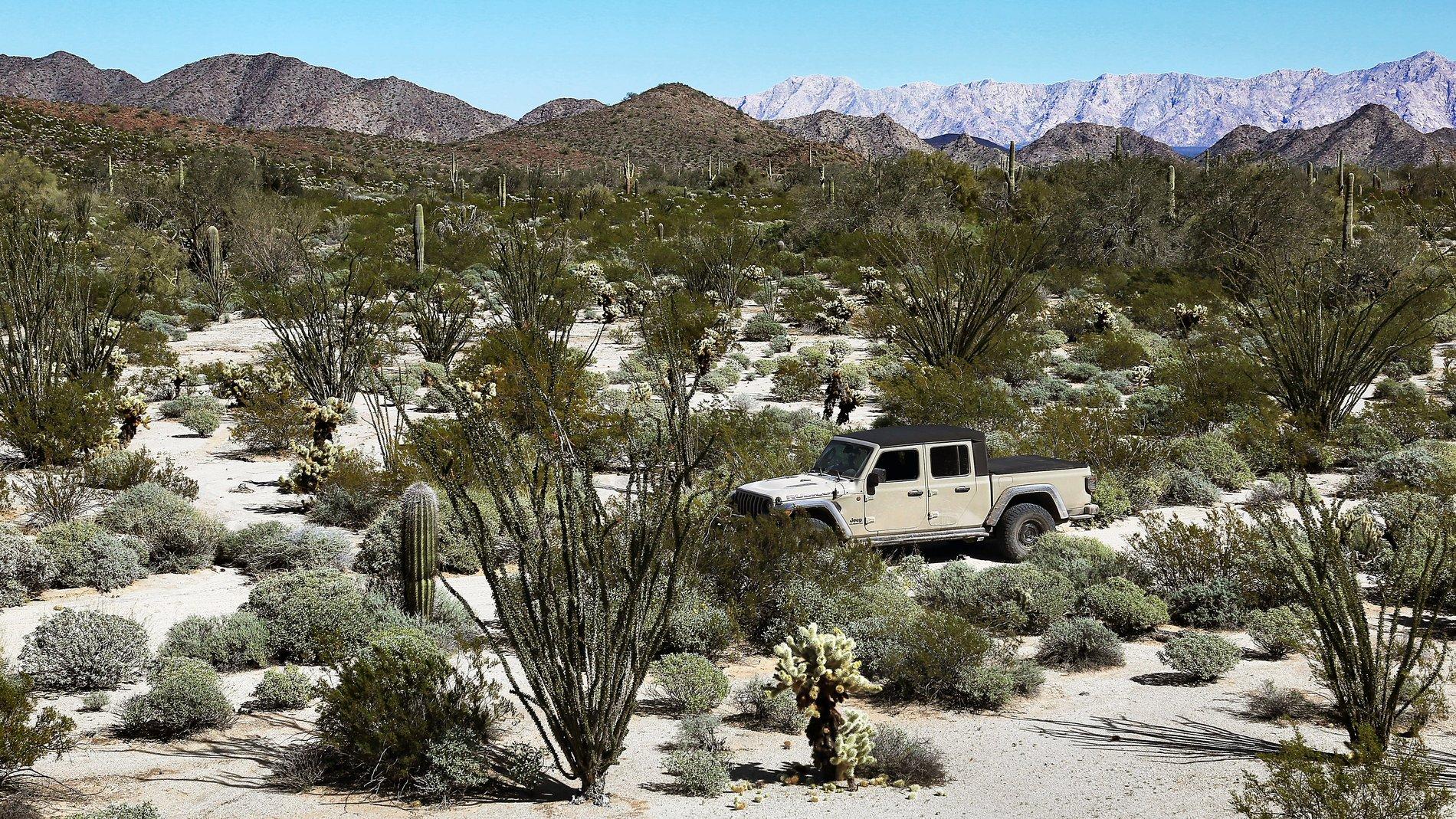 Jeep Gladiator What did you do WITH your Gladiator today? El Camino del Diablo Feb 20, 5_4762, Mark's Jeep at Cabeza Prieta