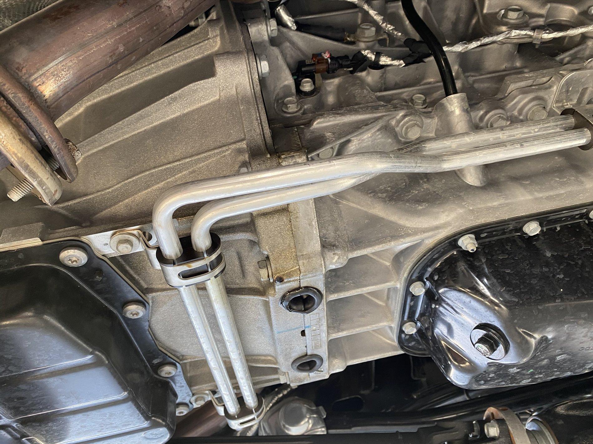 Jeep Gladiator 4200 miles before it started marking its territory A44942BD-FD63-45D6-98DB-F6CE52FD2564