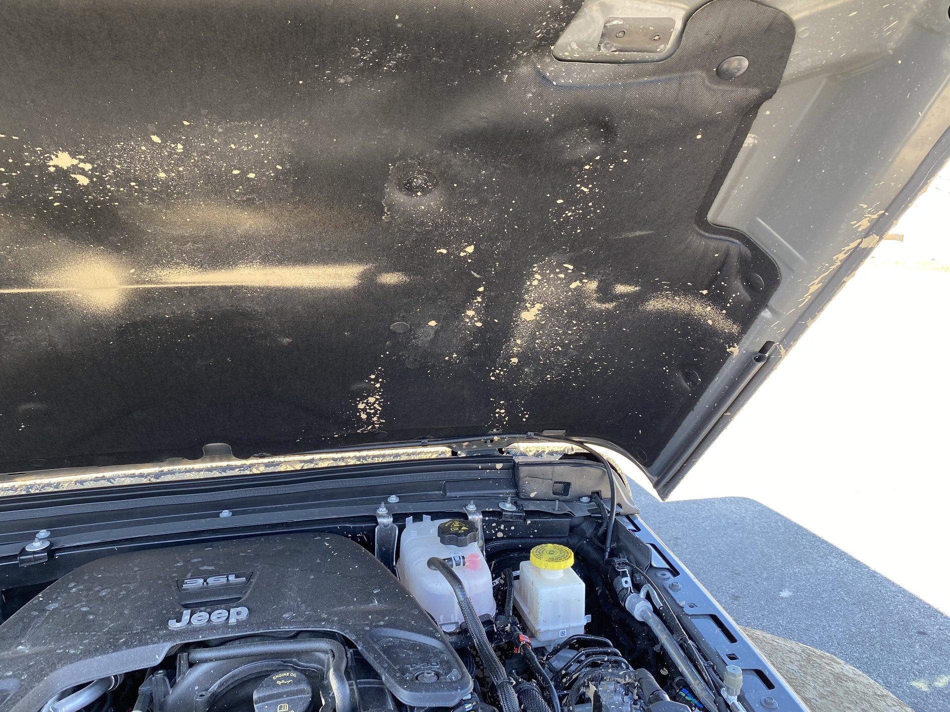 Jeep Gladiator Mudding harmful to Jeep? 9B98906D-5C04-436B-810F-FC6A8A0B8055