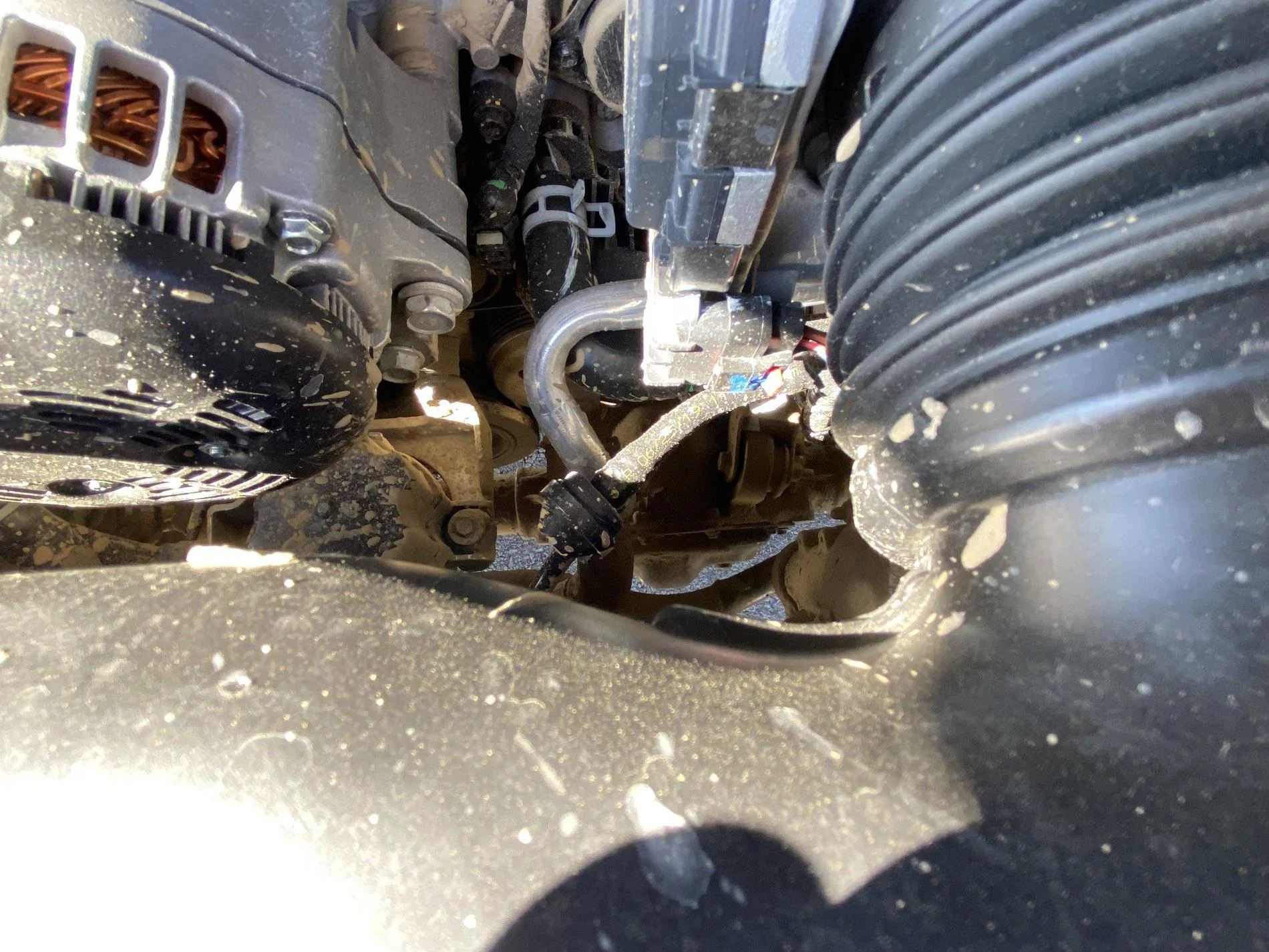 Jeep Gladiator Mudding harmful to Jeep? 8E7F367D-BF68-4FCC-B4D2-90F012026F78