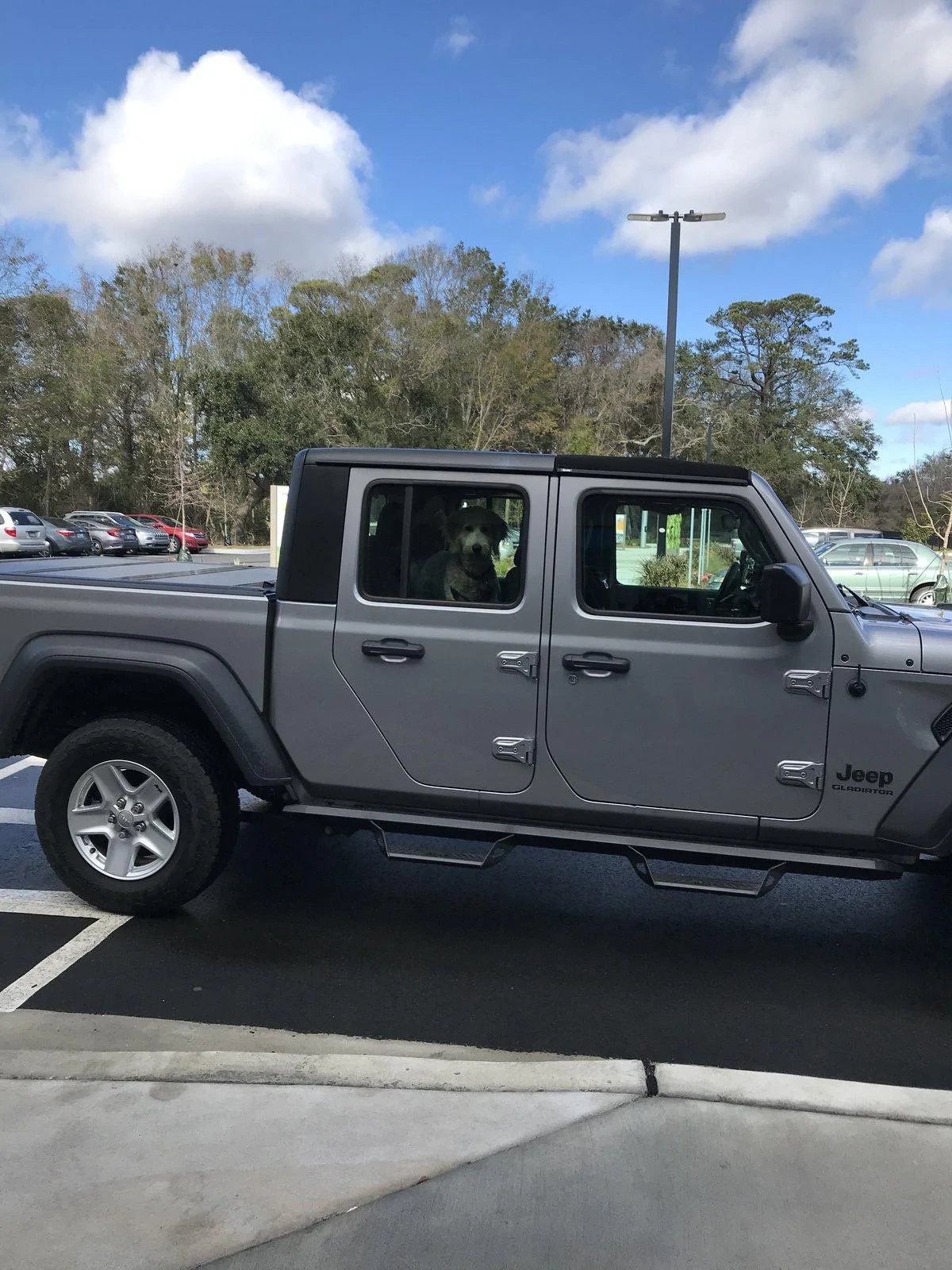 Jeep Gladiator Gladiator Sport add Keyless Entry CD0D33DF-7F37-4D15-A4FB-543BA2D4F66D