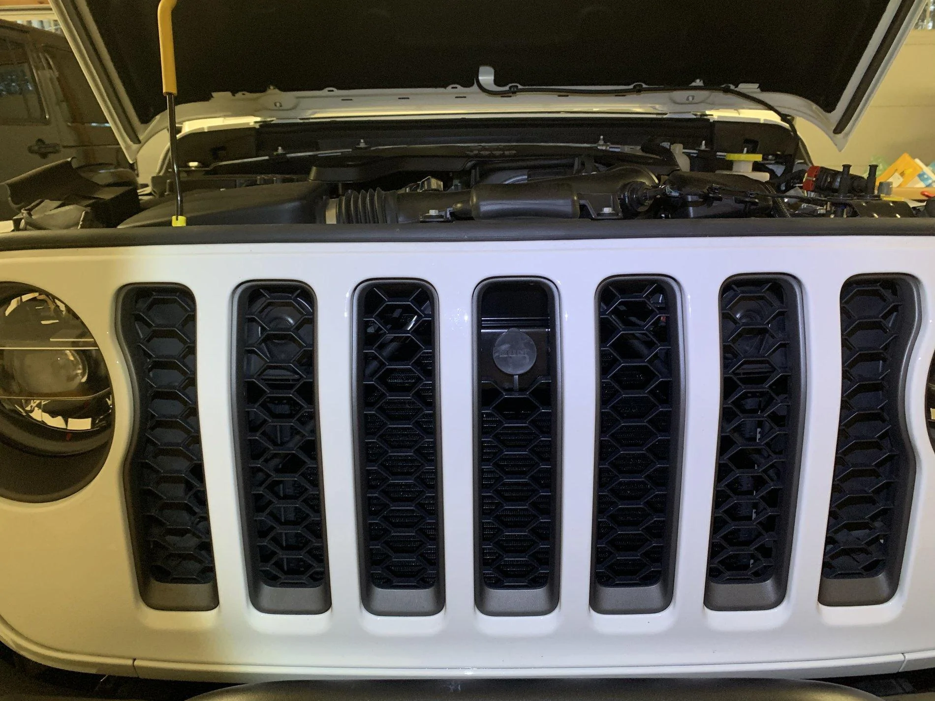 Jeep Gladiator What did you do TO your Gladiator today? [ADMIN WARNING: NO POLITICS, NO GUN TALK] D8FC2179-2B4A-4BC7-9AEA-619B3BFDED30