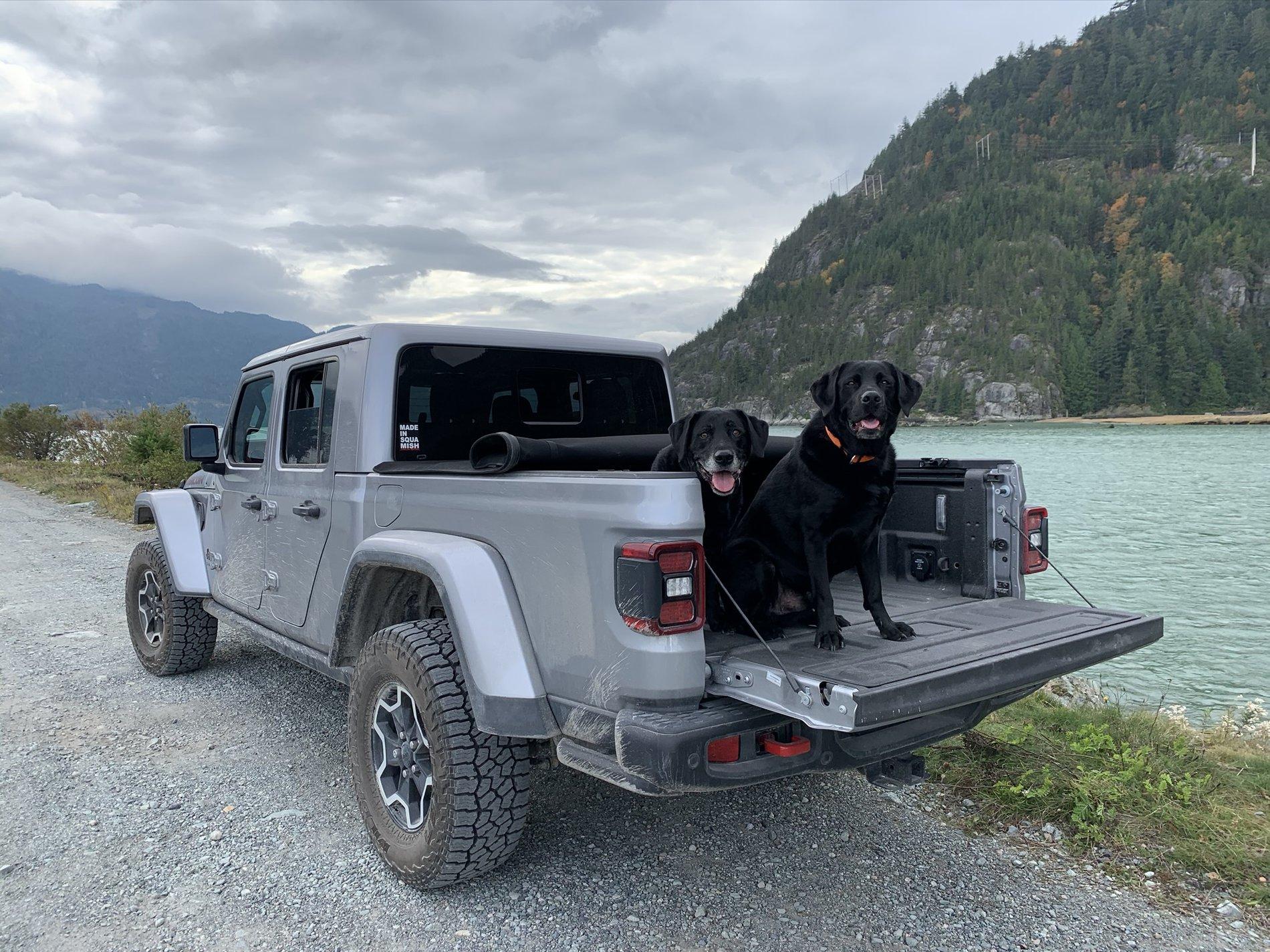 Jeep Gladiator Glad(iator) Dogs! Let's see 'em! 1983D19D-7A6C-4522-9663-73F309464787