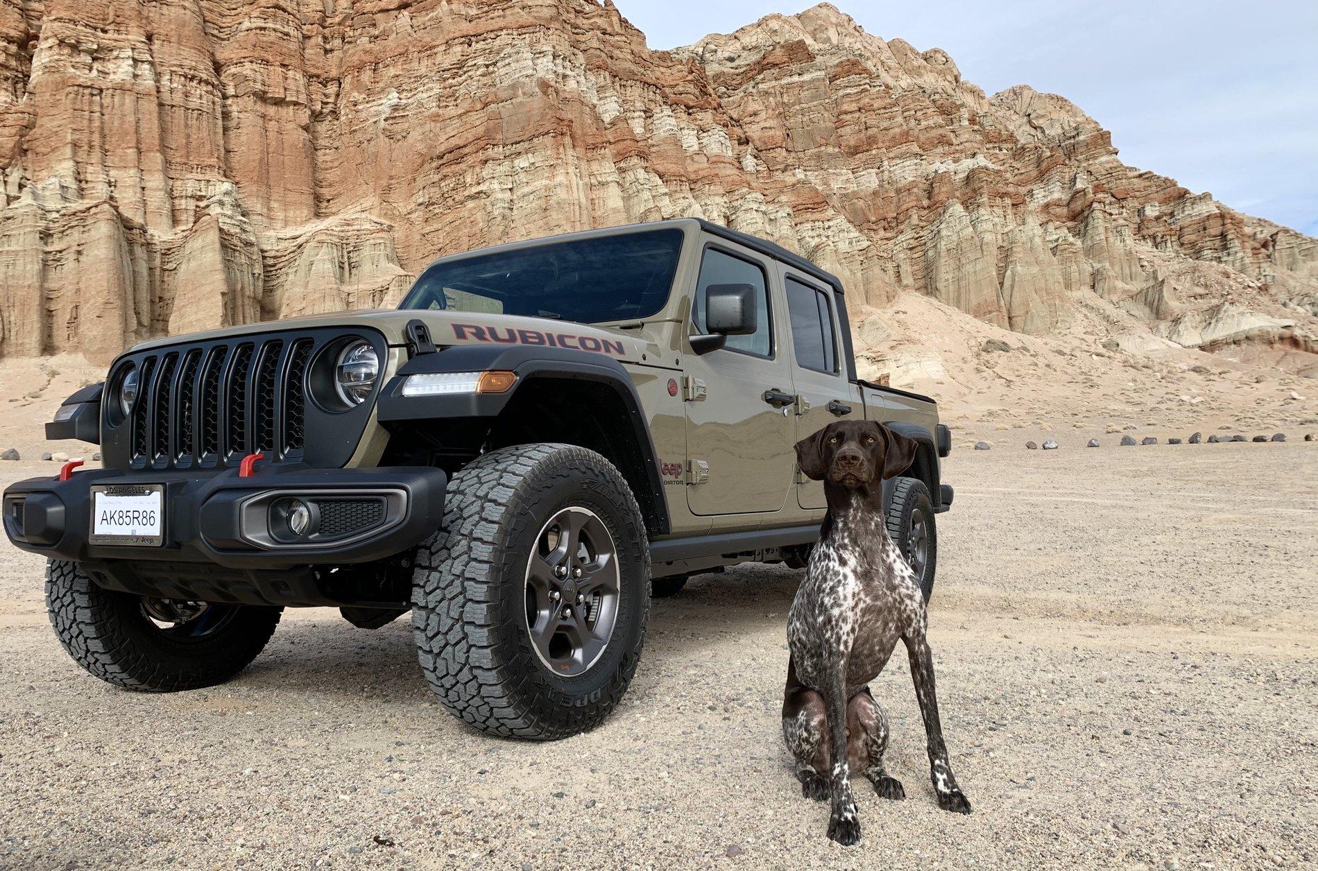 Jeep Gladiator Glad(iator) Dogs! Let's see 'em! IMG_8891