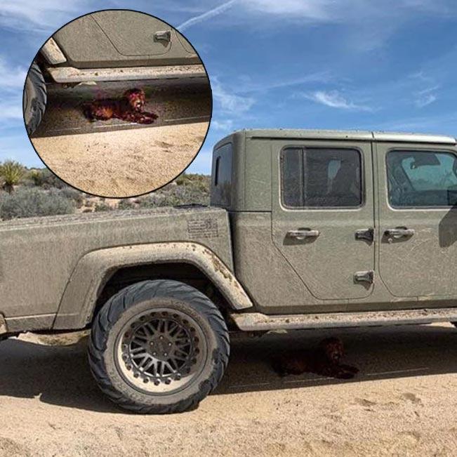 Jeep Gladiator Gladiator bent frame offroading with trailer? Why do you think this happened? puppy
