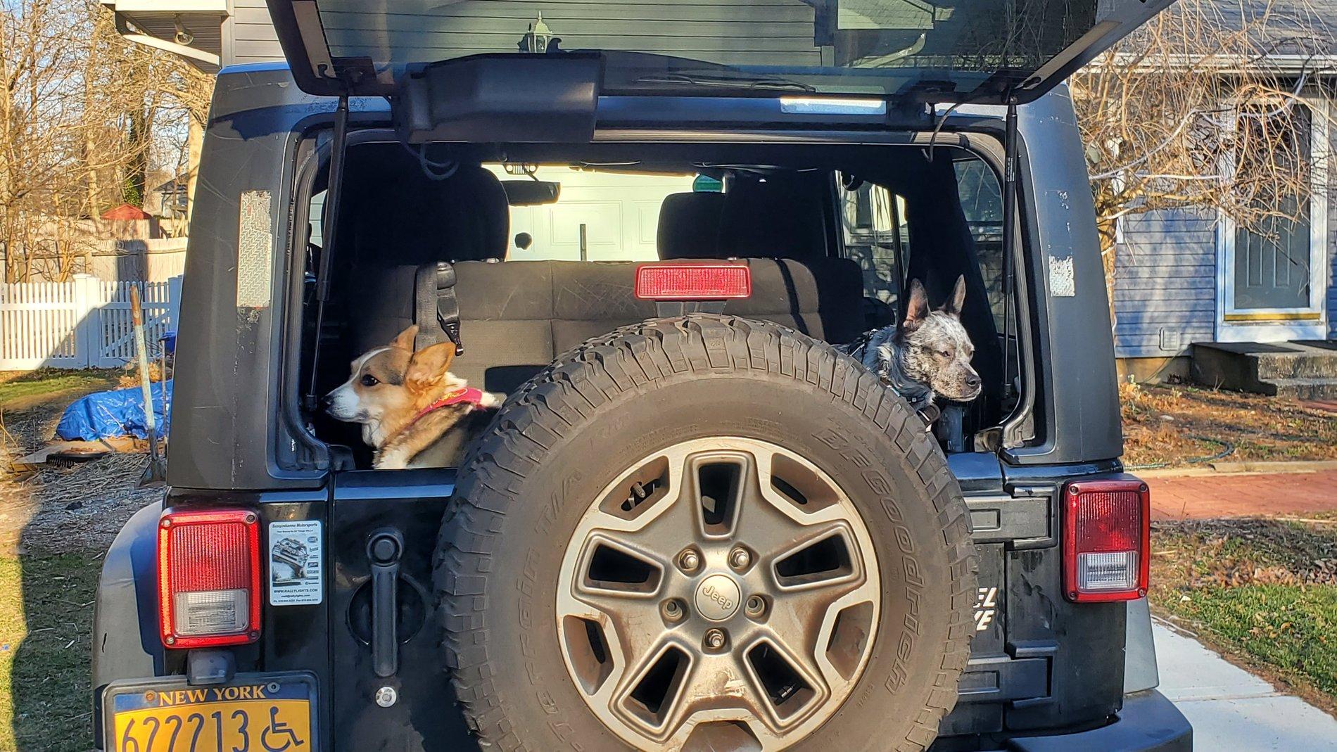 Jeep Gladiator Why no auto-up feature for windows? 20200301_161542