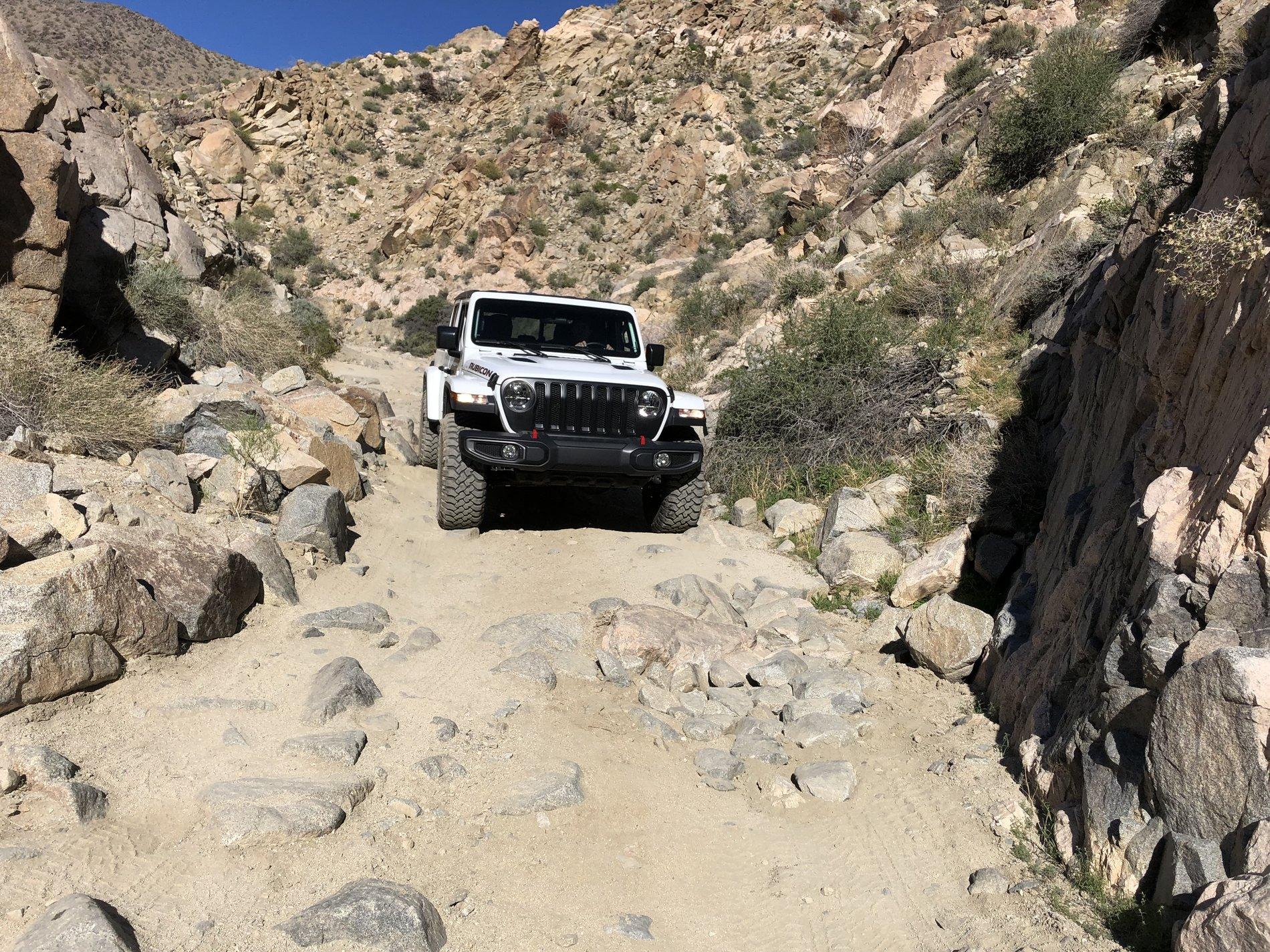 Jeep Gladiator What did you do WITH your Gladiator today? 6540351F-B015-4C44-90E0-76FACE0C1354
