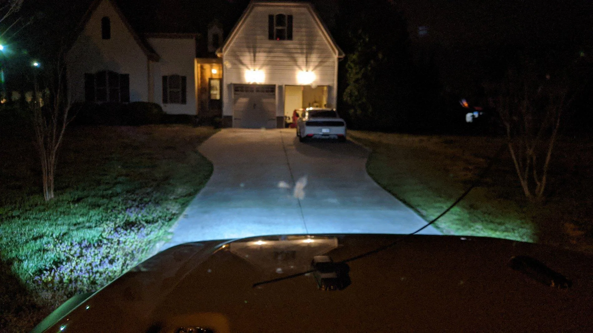 Jeep Gladiator What did you do TO your Gladiator today? [ADMIN WARNING: NO POLITICS, NO GUN TALK] MVIMG_20200313_212609